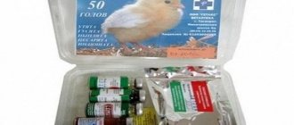 аптечка для птенцов
