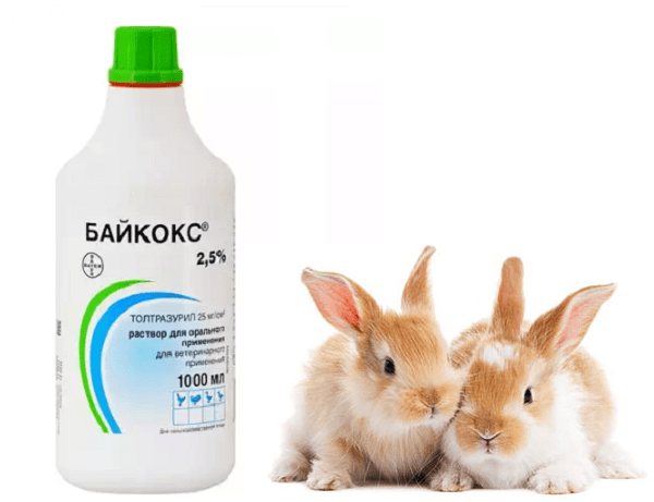 байкокс для кроликов