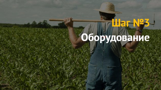 Идея бизнеса: как открыть фермерское хозяйство