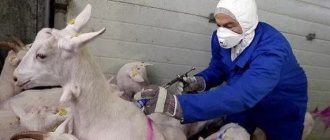 инъекция козе