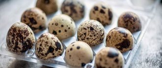калорийность перепелиного яйца