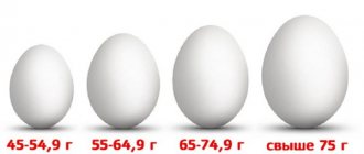 Категории куриных яиц по ГОСТ: вес, классификация