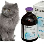 Катозал для кошек и котов