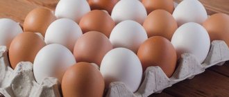 Коричневые и белые яйца у кур в чем разница.