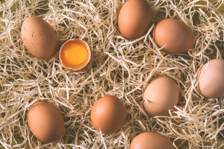 Куры несут яйца без скорлупы: с какими видами вирусных или инфекционных заболеваний может быть связан этот симптом?