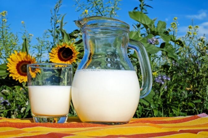 лактоза в козьем и коровьем молоке