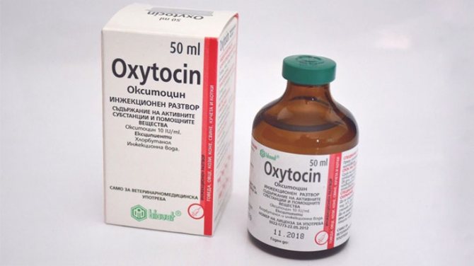 Окситоцин для свиней