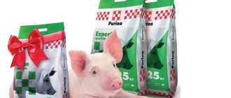 пакеты добавки для свиней
