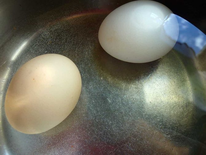 почему яйца всплывают в воде перед варкой