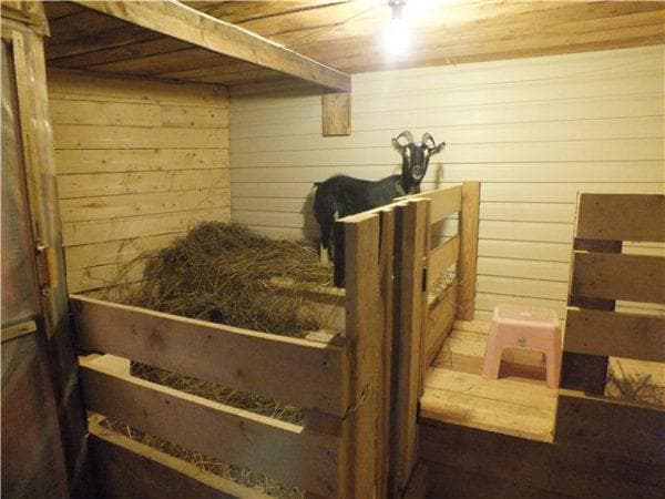 помещение для коз