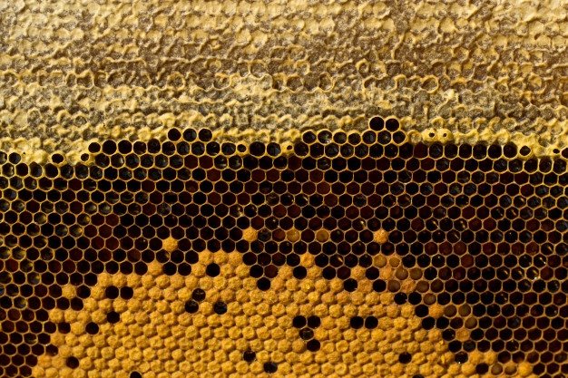 Разновидности и сравнение подкормки пчел