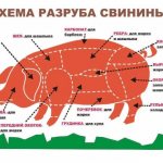 Схема разруба свиньи