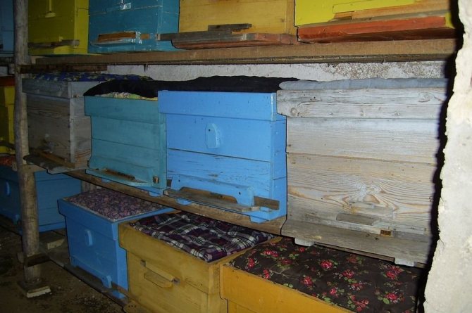 Советы опытных пчеловодов