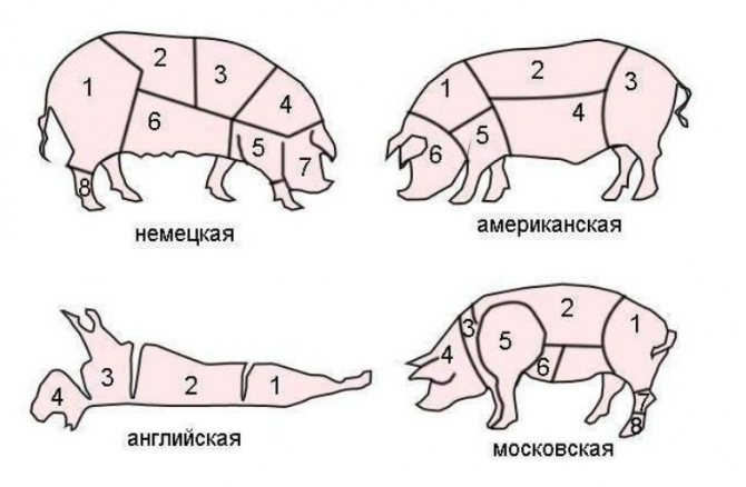 Способы разделки свиной туши