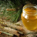 Виды лесного меда и его лечебные свойства