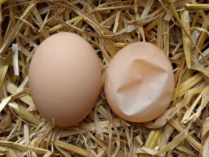 Яйца без скорлупы