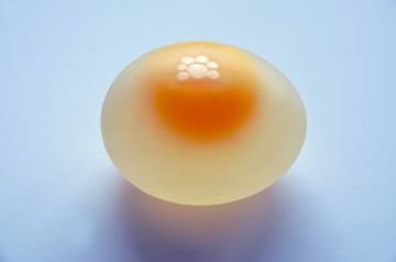 яйцо без сколупы