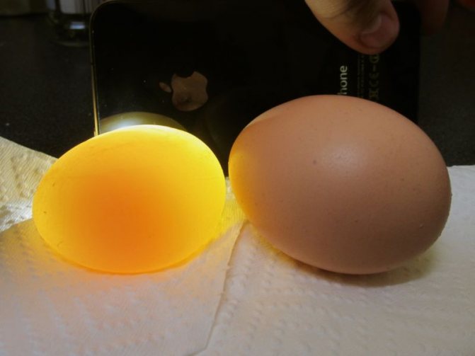Яйцо без скорлупы
