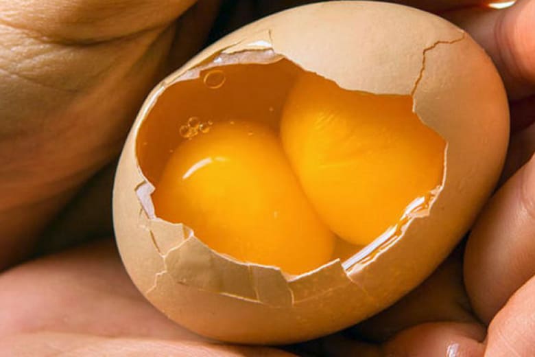 Яйцо с двумя желтками