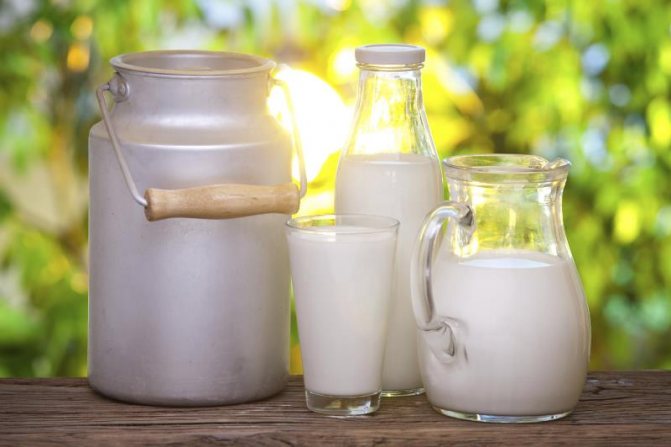 жирность козьего и коровьего молока